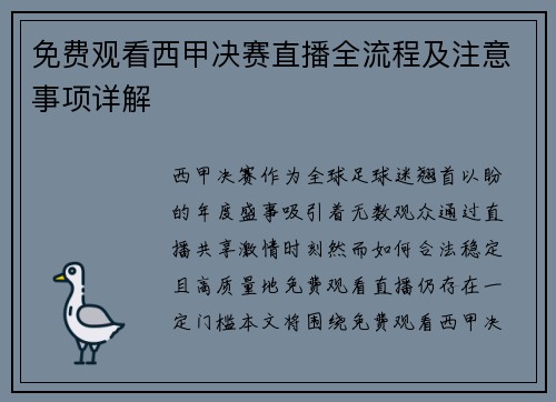 免费观看西甲决赛直播全流程及注意事项详解